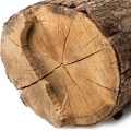 Hương Gỗ Quý (Woody Notes)